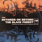 VARIOUS /  BETWEEN OR BEYOND THE BLACK FOREST