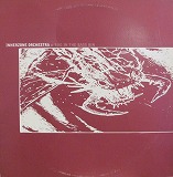 INNERZONE ORCHESTRA / BUGZ IN THE BASS BIN
