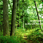 DAISHI DANCE / THE PIANO SET